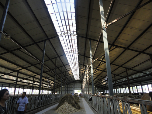 yl23455永利(集团)股份有限公司官网