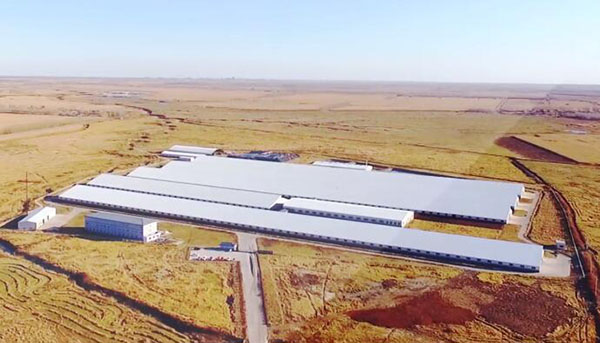 yl23455永利(集团)股份有限公司官网